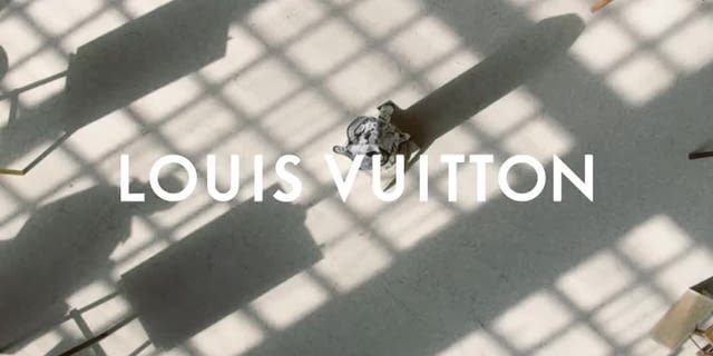 Valerie Weill, Louis Vuitton - Shadow